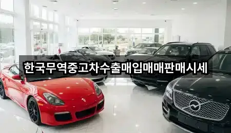 경기도 안성시 금산동 중고차 총 5곳 모음