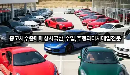 지금 인기 구미 장천면중고차 2곳