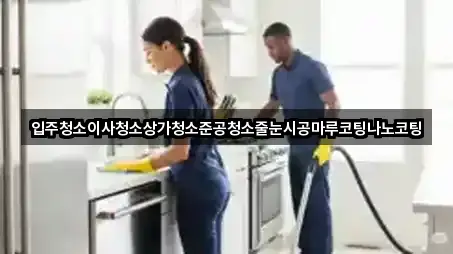 입주청소이사청소상가청소준공청소줄눈시공마루코팅나노코팅