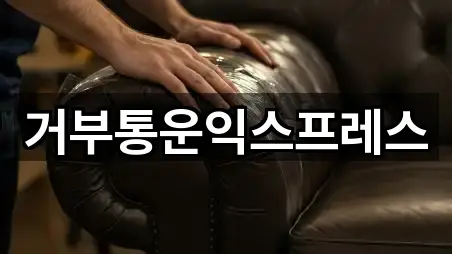 거부통운익스프레스