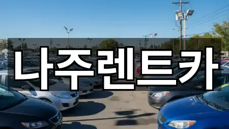 나주렌트카