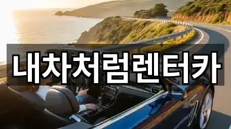 내차처럼렌터카