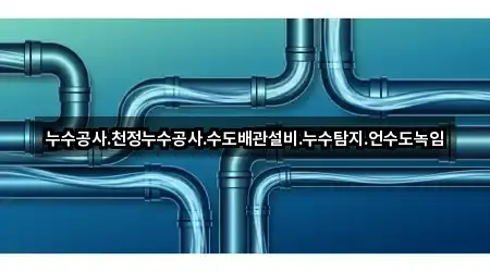 누수공사.천정누수공사.수도배관설비.누수탐지.언수도녹임