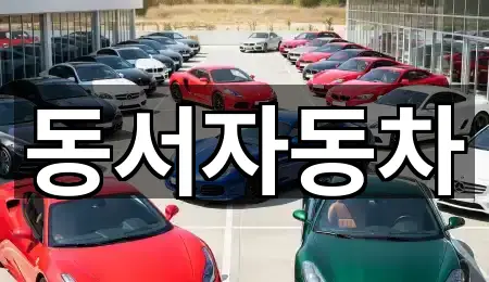 고령군 운수면 중고차 5곳 — 연락처