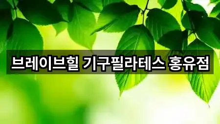 브레이브힐 기구필라테스 홍유점