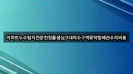 아파트누수탐지전문천정물샘싱크대하수구역류막힘배관수리비용