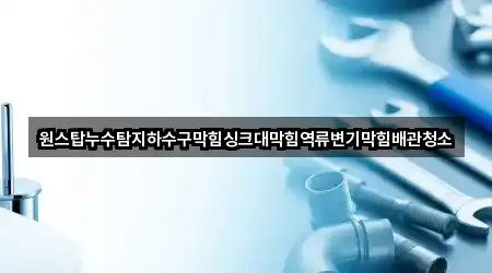 원스탑누수탐지하수구막힘싱크대막힘역류변기막힘배관청소