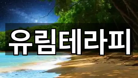 위치 브리핑: 중구 동광동2가 에스테틱 5곳