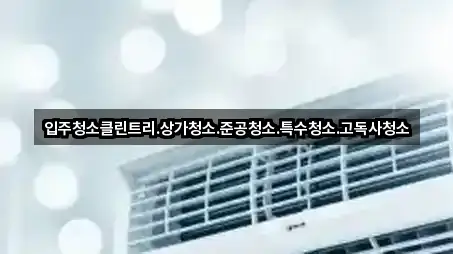 성남 중원구 중앙동 상가청소 4곳 | 종합 안내