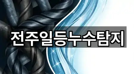 전주일등누수탐지