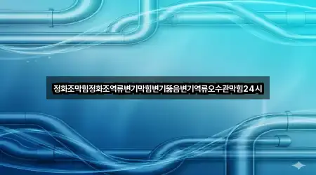 정화조막힘정화조역류변기막힘변기뚫음변기역류오수관막힘24시