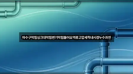 하수구막힘싱크대막힘변기막힘뚫어요역류고압세척내시경누수과천