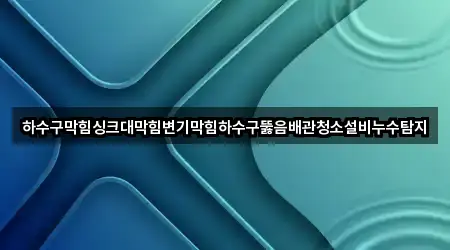 하수구막힘싱크대막힘변기막힘하수구뚫음배관청소설비누수탐지