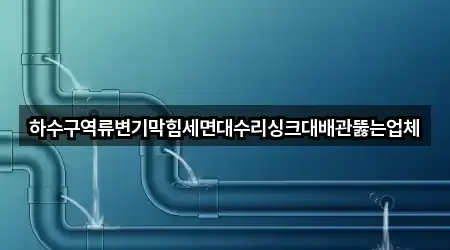 하수구역류변기막힘세면대수리싱크대배관뚫는업체
