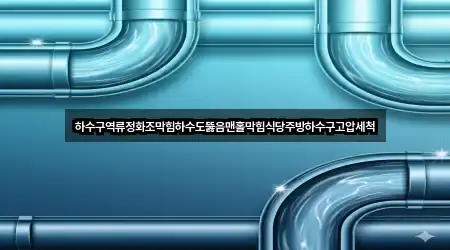 하수구역류정화조막힘하수도뚫음맨홀막힘식당주방하수구고압세척