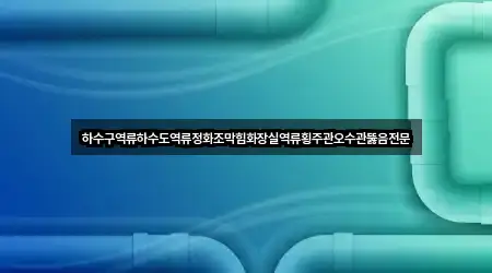 하수구역류하수도역류정화조막힘화장실역류횡주관오수관뚫음전문