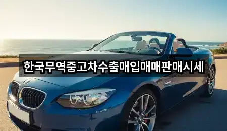광산구 신가동 중고차 전화 상담 4곳