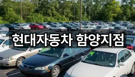 경남 지곡면 자동차전시장 1곳 지도 검색