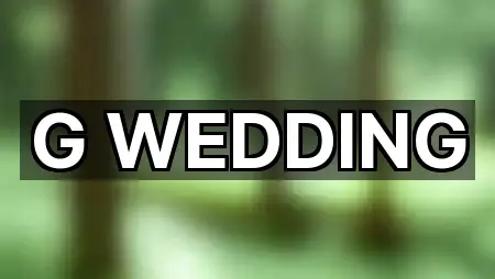 경주시 서부동 웨딩드레스 상담 가능 5곳