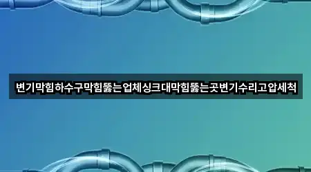 변기막힘하수구막힘뚫는업체싱크대막힘뚫는곳변기수리고압세척
