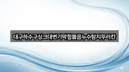 대구하수구싱크대변기막힘뚫음누수탐지뚜러칸