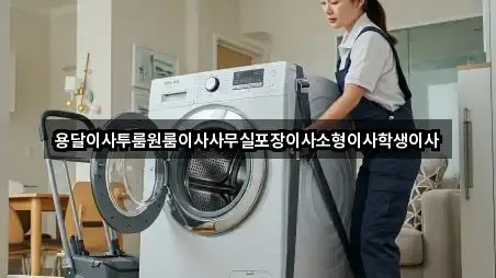 용달이사투룸원룸이사사무실포장이사소형이사학생이사