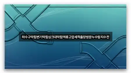 하수구막힘변기막힘싱크대막힘역류고압세척출장방문누수탐지수전