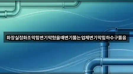 화장실정화조막힘변기막혔을때변기뚫는업체변기막힘하수구뚫음