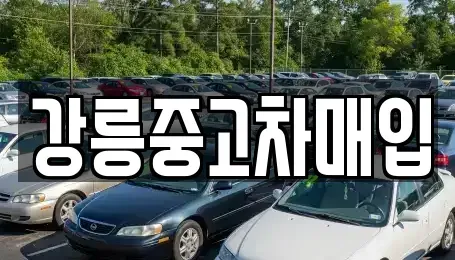 강원 강릉시 성내동 중고차 전문 강릉중고차매입