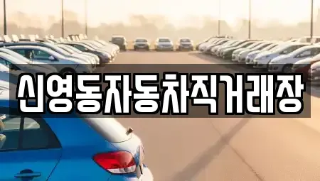 강원 강릉시 성내동 중고차 전문 신영동자동차직거래장