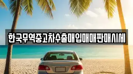 강원 강릉시 성내동 중고차매입 전문 한국무역중고차수출매입매매판매시세