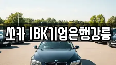 강원 강릉시 임당동 렌트카 전문 쏘카 IBK기업은행강릉