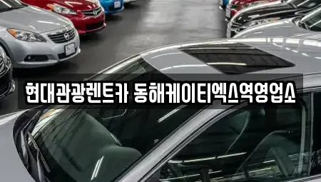 강원 동해시 평릉동 렌트카 전문 현대관광렌트카 동해케이티엑스역영업소