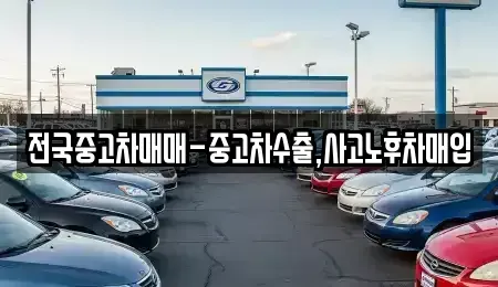 강원 동해시 평릉동 중고차 전문 전국중고차매매-중고차수출,사고노후차매입
