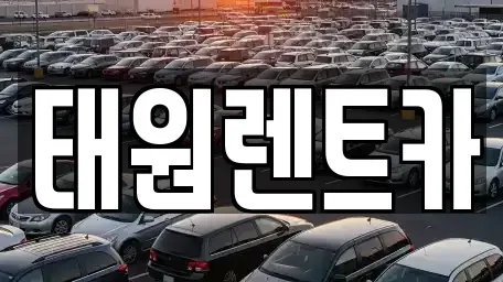 강원 속초시 교동 렌트카 전문 태원렌트카