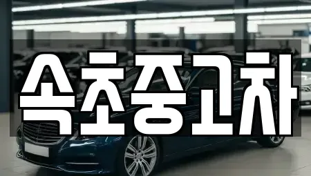 강원 속초시 교동 중고차 전문 속초중고차