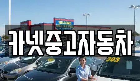 강원 속초시 교동 중고차 전문 카넷중고자동차