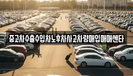 강원 속초시 교동 중고차매입 전문 중고차수출수입차노후차사고차량매입매매센타