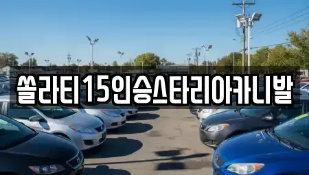 강원 춘천시 중도동 렌트카 전문 쏠라티15인승스타리아카니발