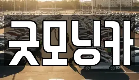 강원 춘천시 중도동 중고차 전문 굿모닝카