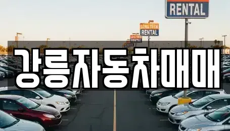 강원특별자치도 강릉시 남문동 중고차 전문 강릉자동차매매