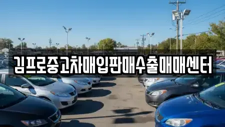 강원특별자치도 강릉시 안현동 중고차매매 전문 김프로중고차매입판매수출매매센터