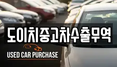 강원특별자치도 강릉시 안현동 중고차매매 전문 도이치중고차수출무역