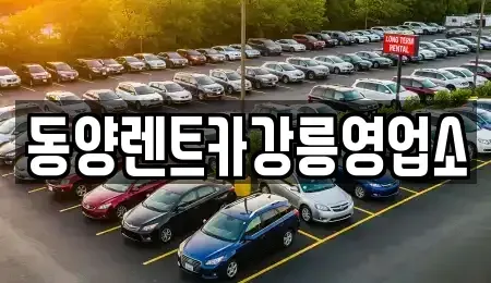 강원특별자치도 강릉시 연곡면 렌트카 전문 동양렌트카강릉영업소