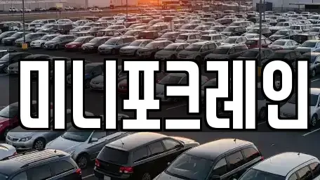 강원특별자치도 강릉시 연곡면 중고차 전문 미니포크레인