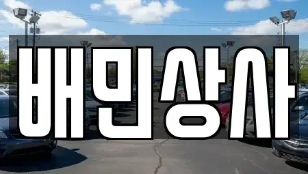 강원특별자치도 강릉시 연곡면 중고차 전문 배민상사