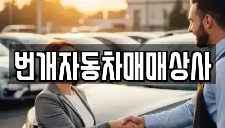 강원특별자치도 강릉시 지변동 중고차 전문 번개자동차매매상사