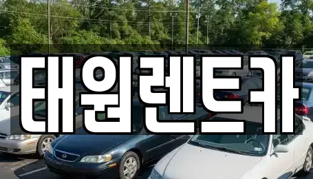 강원특별자치도 속초시 설악동 렌트카 전문 태원렌트카