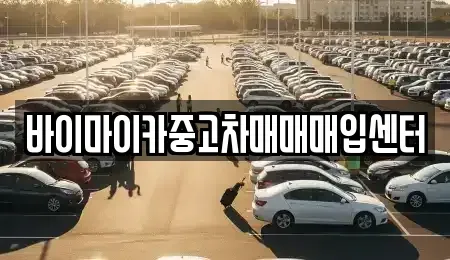 경기 군포시 대야미동 중고차 전문 바이마이카중고차매매매입센터