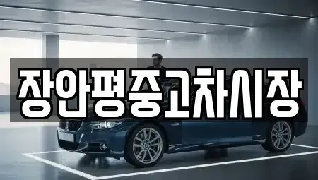 경기 군포시 대야미동 중고차 전문 장안평중고차시장